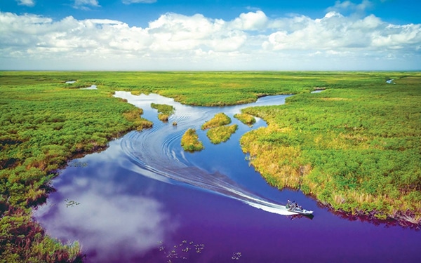 Everglades National Park, Florida: Wildlife and Adventure