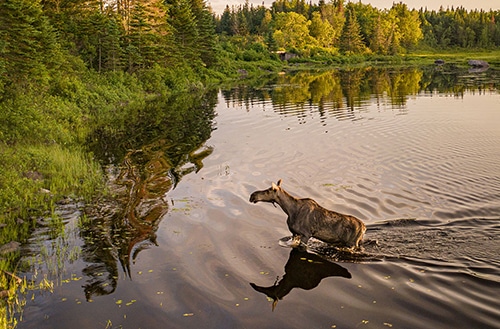 Visit Moosehead Lake, Maine
